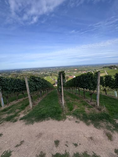 Schnapsbrunnenweg 1