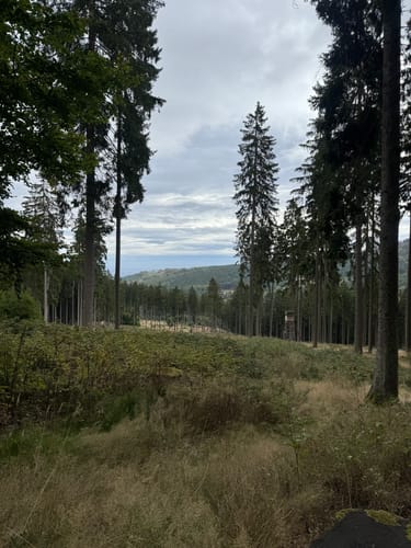 Massborn, Fuchstanz und Weiße Mauer Rundweg