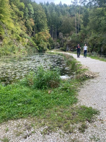 Felsengarten Klumpertal (Naturlehrpfad - schwarzer Ring)