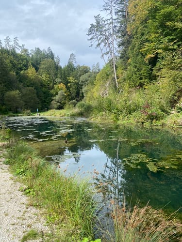 Felsengarten Klumpertal (Naturlehrpfad - schwarzer Ring)