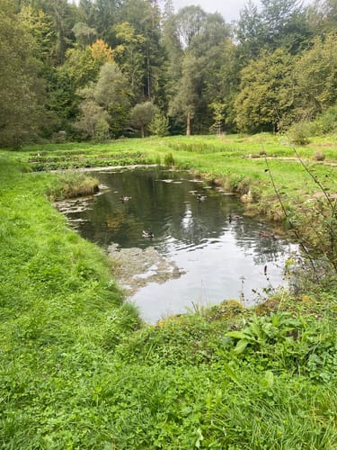 Felsengarten Klumpertal (Naturlehrpfad - schwarzer Ring)