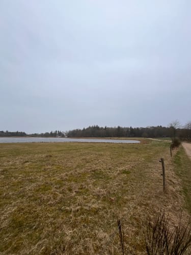 Naturpark Marbæk og Sjelborg Plantage