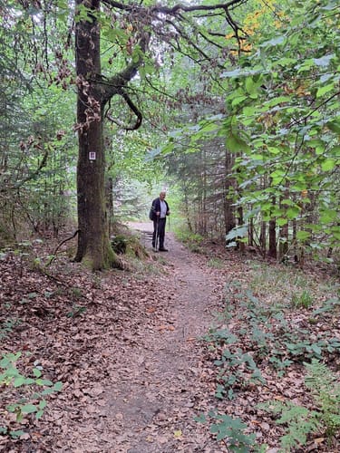 Hochwald Acht (Traumschleife)