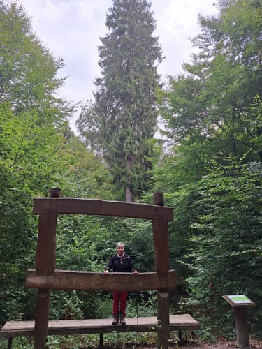 Hochwald Acht (Traumschleife)