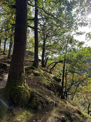 Zuschauerwanderung