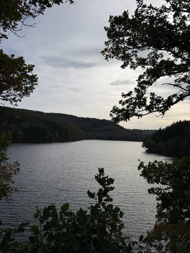 Zuschauerwanderung