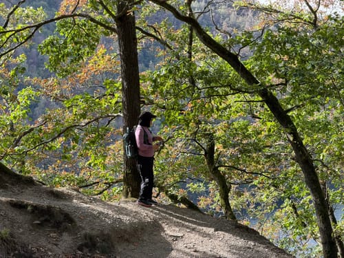 Zuschauerwanderung