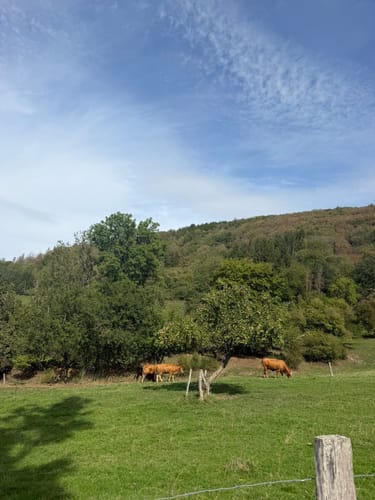Zuschauerwanderung