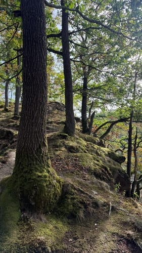 Zuschauerwanderung
