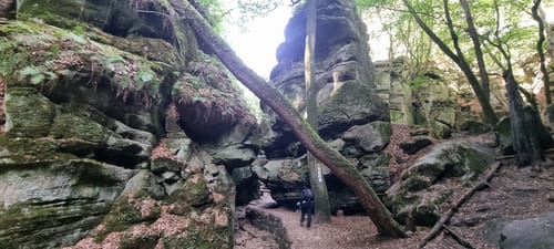 Sentier Fred Welter