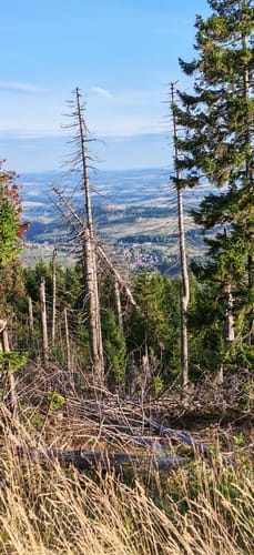 Schierke und Brocken über Eckerlochstieg