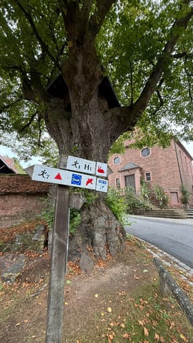 Rundwanderung Wiesthal - Habichtsthal