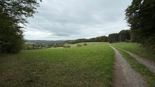 Rundwanderung Wiesthal - Habichtsthal