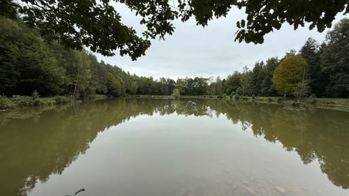 Rundwanderung Wiesthal - Habichtsthal