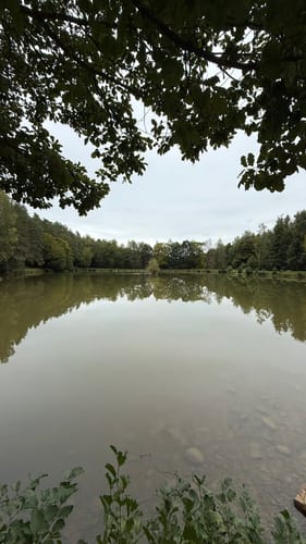Rundwanderung Wiesthal - Habichtsthal