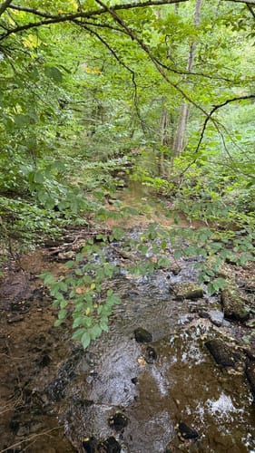 Rundwanderung Wiesthal - Habichtsthal