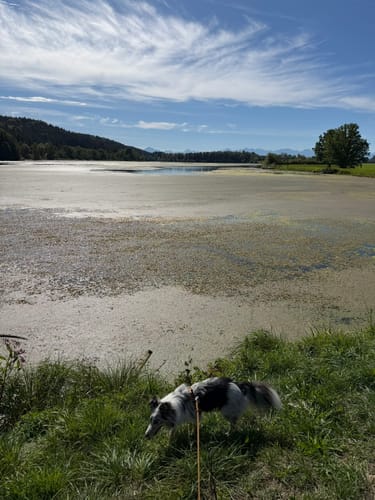 Wertach-Wanderung: Bärensee und Bachtelsee