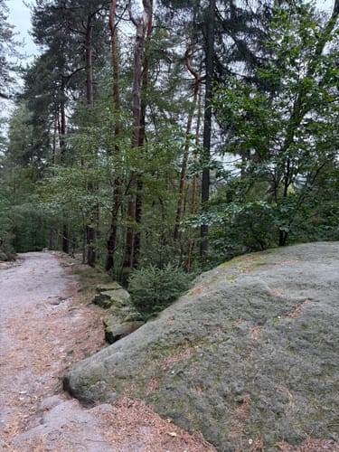 Auf den Pfaffenstein mit Nadelöhr und Opferkessel