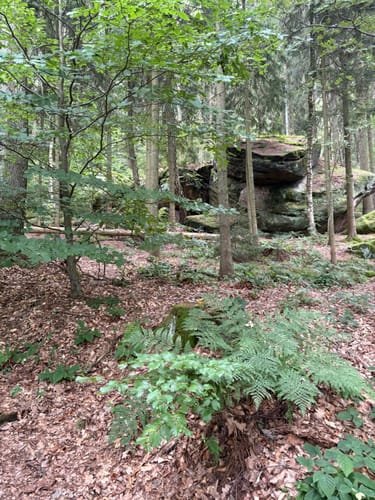 Auf den Pfaffenstein mit Nadelöhr und Opferkessel