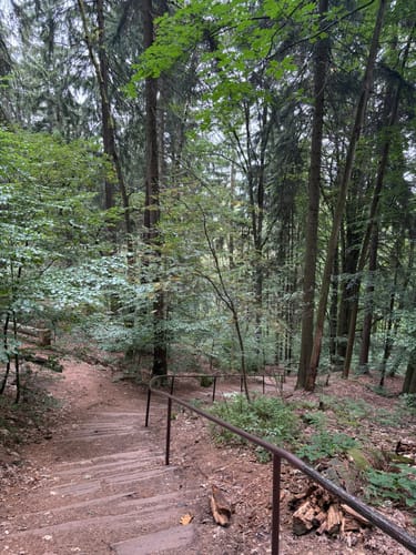 Auf den Pfaffenstein mit Nadelöhr und Opferkessel