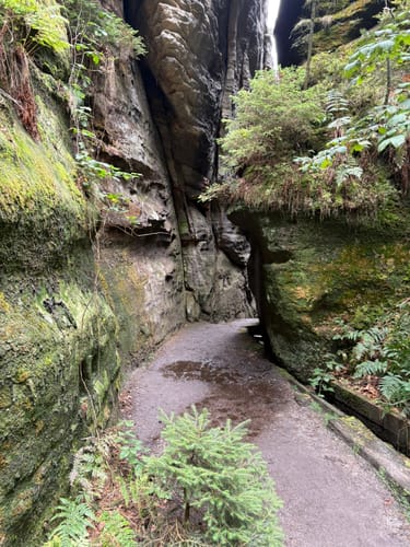Auf den Pfaffenstein mit Nadelöhr und Opferkessel