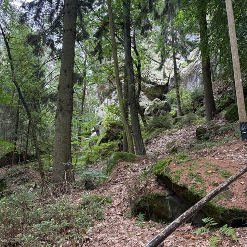 Auf den Pfaffenstein mit Nadelöhr und Opferkessel