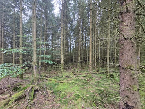 Von Bad Berleburg nach Langewiese durch das Rothaargebirge