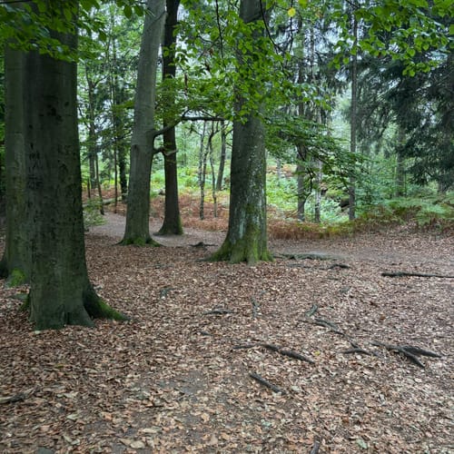 Auf den Pfaffenstein mit Nadelöhr und Opferkessel