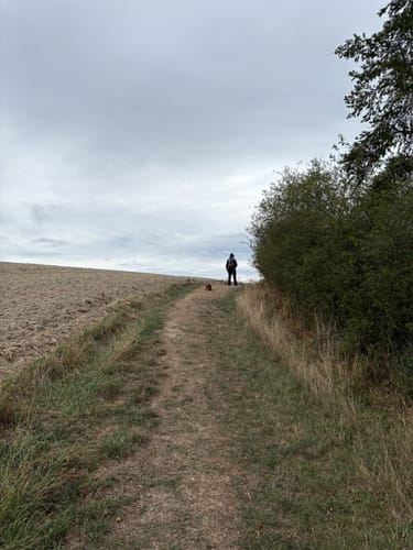 Karrenberg (Premiumwanderweg)