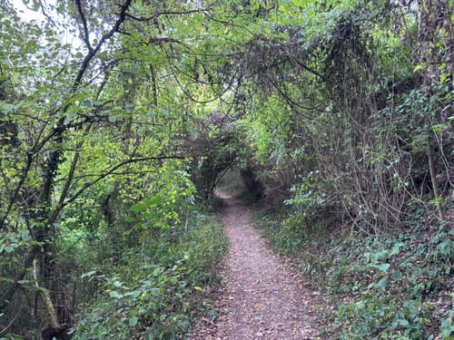 Mullerthal Trail Route 1: Echternach - Moersdorf