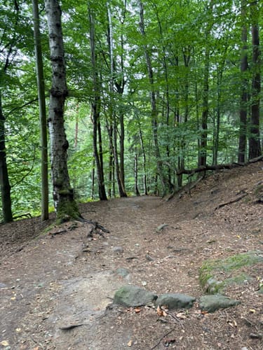 Auf den Pfaffenstein mit Nadelöhr und Opferkessel