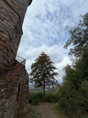 Dunkeltälchen - Humbergturm - Bremerhof