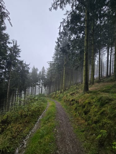 Von Bad Berleburg nach Langewiese durch das Rothaargebirge