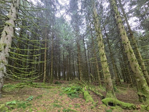 Von Bad Berleburg nach Langewiese durch das Rothaargebirge