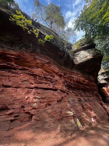 Les Falaises Rouges d'Altschlossfelsen