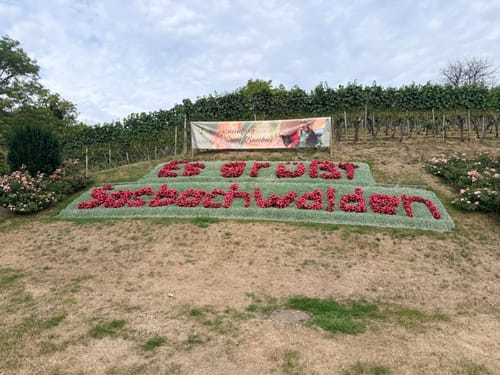 Schnapsbrunnenweg 1