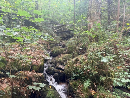 Schnapsbrunnenweg 1