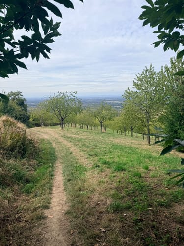 Schnapsbrunnenweg 1