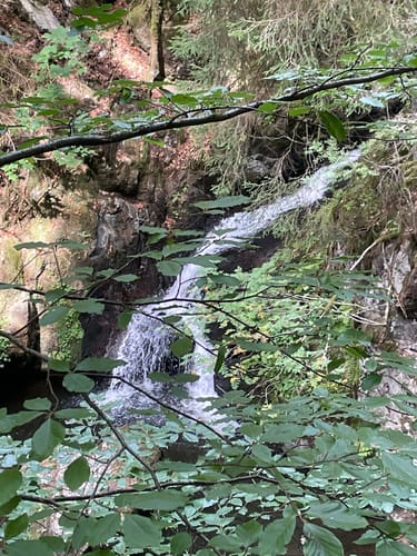 Der Ravennaschlucht Weg