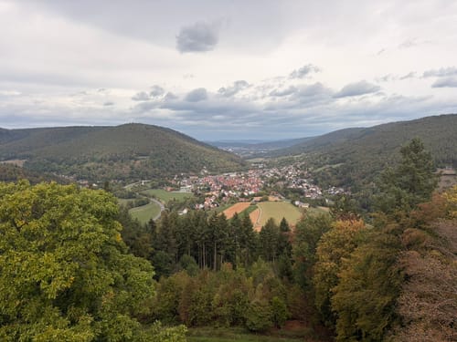 Amorbacher Waldromantikweg (A9)
