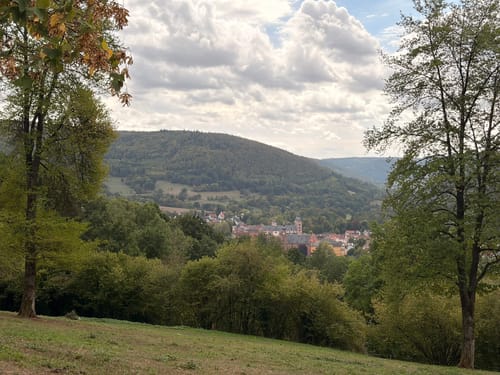 Amorbacher Waldromantikweg (A9)