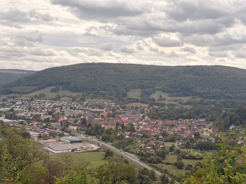 Amorbacher Waldromantikweg (A9)