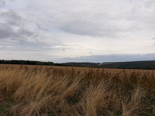 Amorbacher Waldromantikweg (A9)