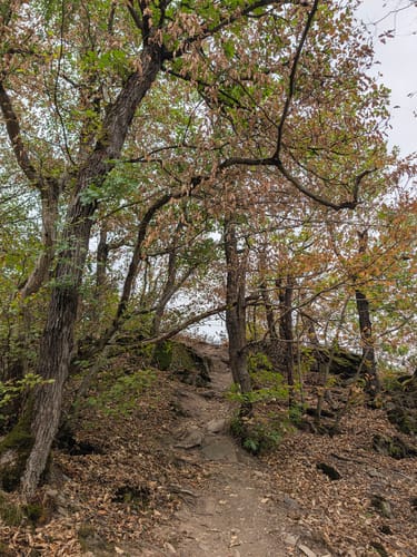 Eltzer Burgpanorama (Traumpfad)