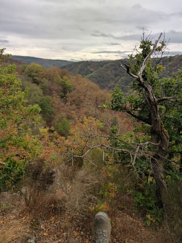 Eltzer Burgpanorama (Traumpfad)