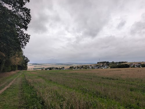 Eltzer Burgpanorama (Traumpfad)