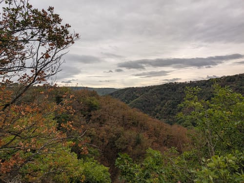 Eltzer Burgpanorama (Traumpfad)