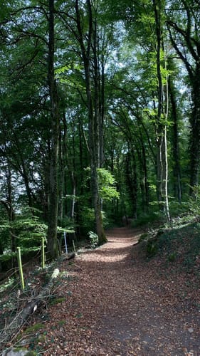 Mullerthal Trail Route 1: Echternach - Moersdorf