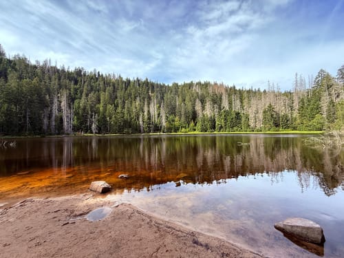 Von Ruhestein zum Wildsee