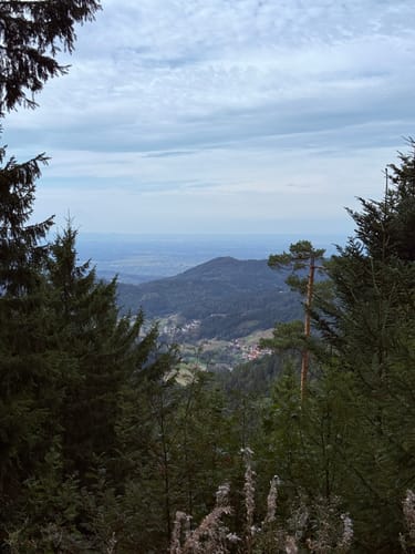 Von Ruhestein zum Wildsee